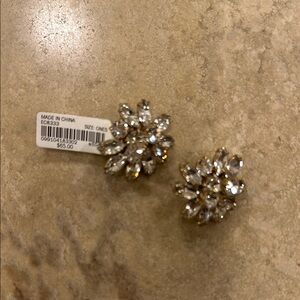 Elegant Crystal Flower Earrings